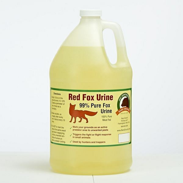 Bare Ground Just Scentsational Fox Urine Predator Scent, Quantity: 1 Gallon, FU-128