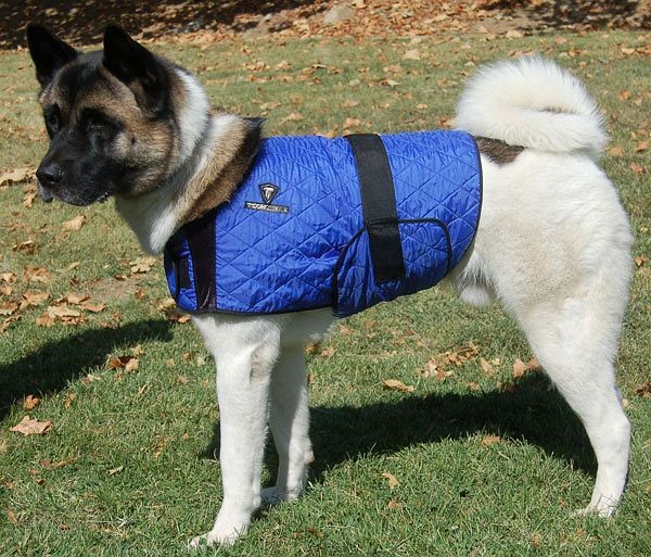 TechNiche Evaporative Cooling Dog Coat, Blue, M, 8529-BL-M