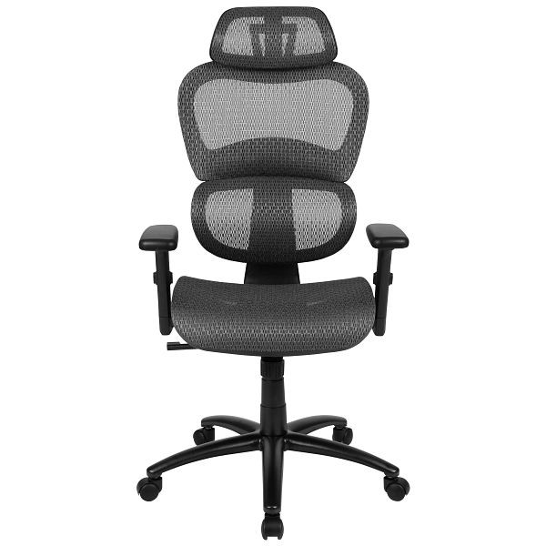 Flash Furniture LO Ergonomic Mesh Office Chair with 2-to-1 Synchro-Tilt, Adjustable Headrest, Lumbar Support, & Adjustable Arms, Gray, H-LC-1388F-1K-GY-GG