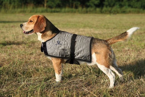 TechNiche Evaporative Cooling Dog Coat, Silver, L, 8529-SV-L