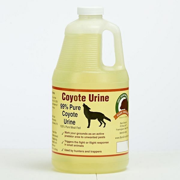 Bare Ground Just Scentsational Coyote Urine Predator Scent, Quantity: Half Gallon, RS-64