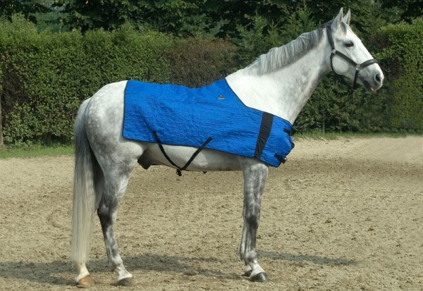 TechNiche Evaporative Cooling Horse Blanket, Blue, L/XL, 8510-BL-L/XL