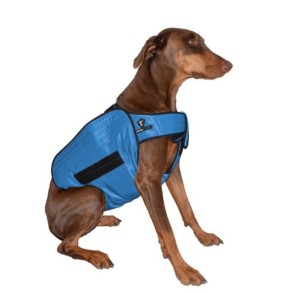 TechNiche Phase Change Cooling Dog Coat, Blue, M/L, 8626-BL-M/L