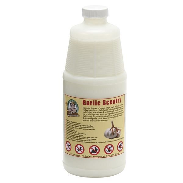 Bare Ground Just Scentsational Garlic Scentry Mosquito & Pest Repellent, Quantity: Quart Gallon, GAR-32