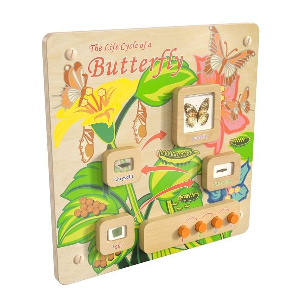 Flash Furniture Bright Beginnings Commercial Grade STEAM Wall Activity Board with Natural Finish & Multicolor Accents, Butterfly Life Cycle, MK-ME12883-GG