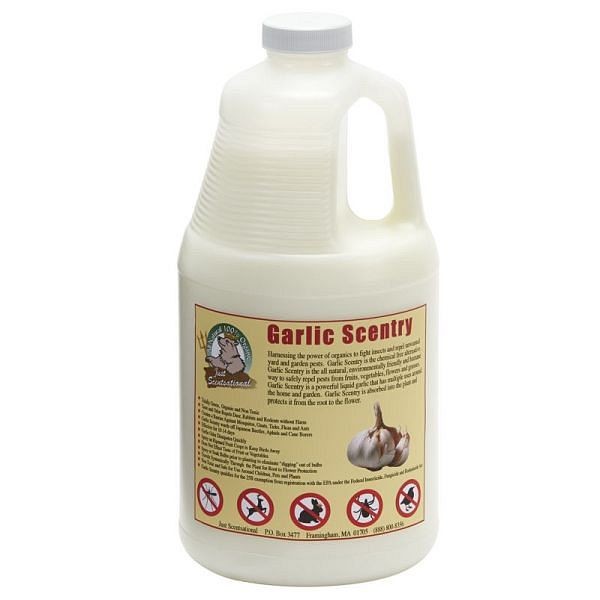 Bare Ground Just Scentsational Garlic Scentry Mosquito & Pest Repellent, Quantity: Half Gallon, GAR-64