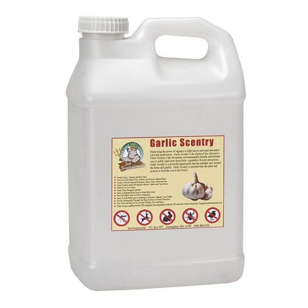Bare Ground Just Scentsational Garlic Scentry Mosquito & Pest Repellent, Quantity: CONCENTRATE - 2.5 Gallons, GCS-2.5P