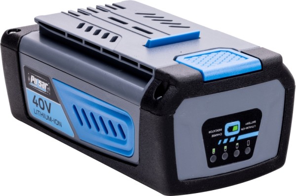 Pulsar Lithium-ion Battery Charger, PTB40C